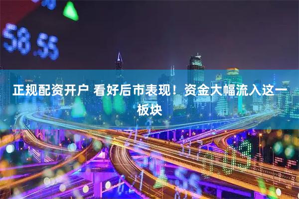 正规配资开户 看好后市表现！资金大幅流入这一板块